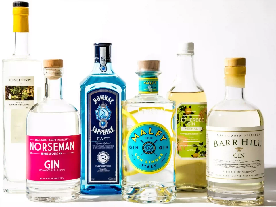 Gin and Tonic